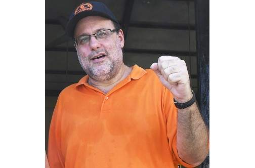 Golding eyes gold