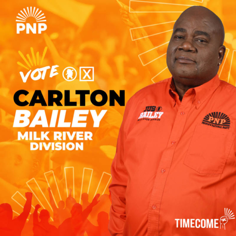2×2 CARLTON BAILEY