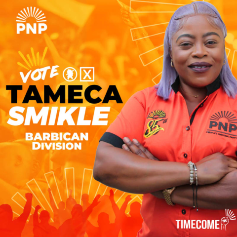 2×2 TAMECA SMIKLE